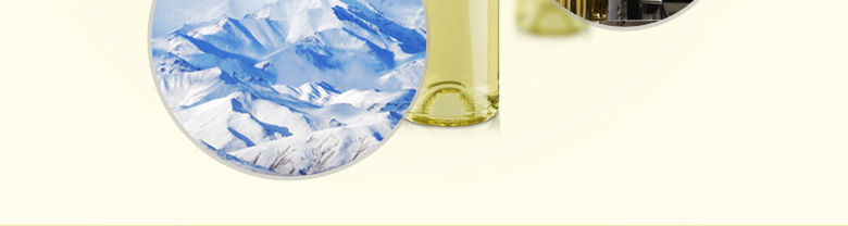 祁连传奇冰白葡萄酒（冰酒）500ml（双瓶装）+酒刀